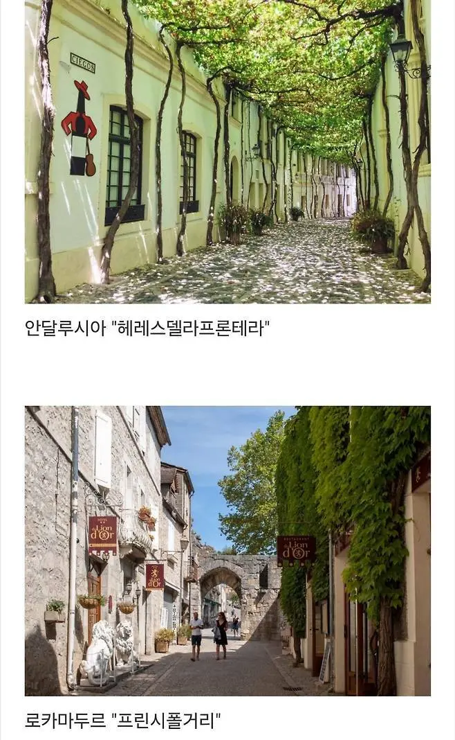 세계에서 제일 예쁜 길이라고 함.jpg | 인스티즈