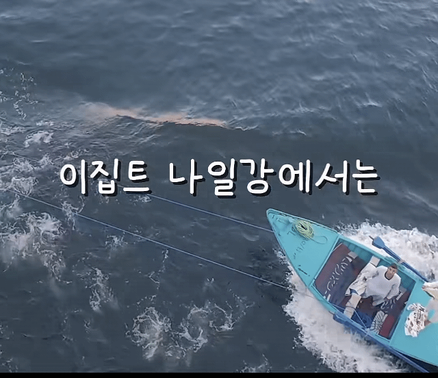 이집트에서 크루즈타면 상인들이 배타고 쫓아옴 .gif | 인스티즈