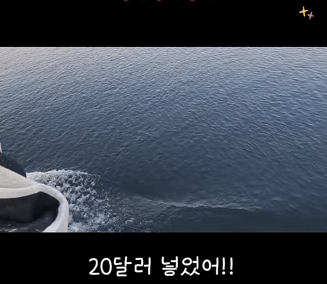 이집트에서 크루즈타면 상인들이 배타고 쫓아옴 .gif | 인스티즈