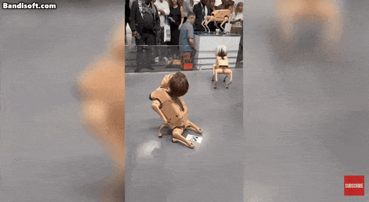 1억원 넘는 가격에 팔린 깡통댕댕이들... | 인스티즈