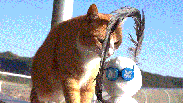 매탈남이 만든 요상하면서도 힙한 눈사람과 고양이들 반응.gif | 인스티즈