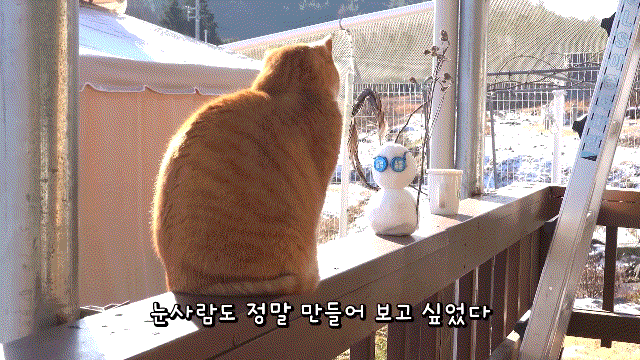 매탈남이 만든 요상하면서도 힙한 눈사람과 고양이들 반응.gif | 인스티즈