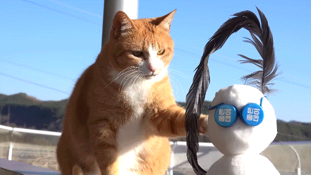매탈남이 만든 요상하면서도 힙한 눈사람과 고양이들 반응.gif | 인스티즈