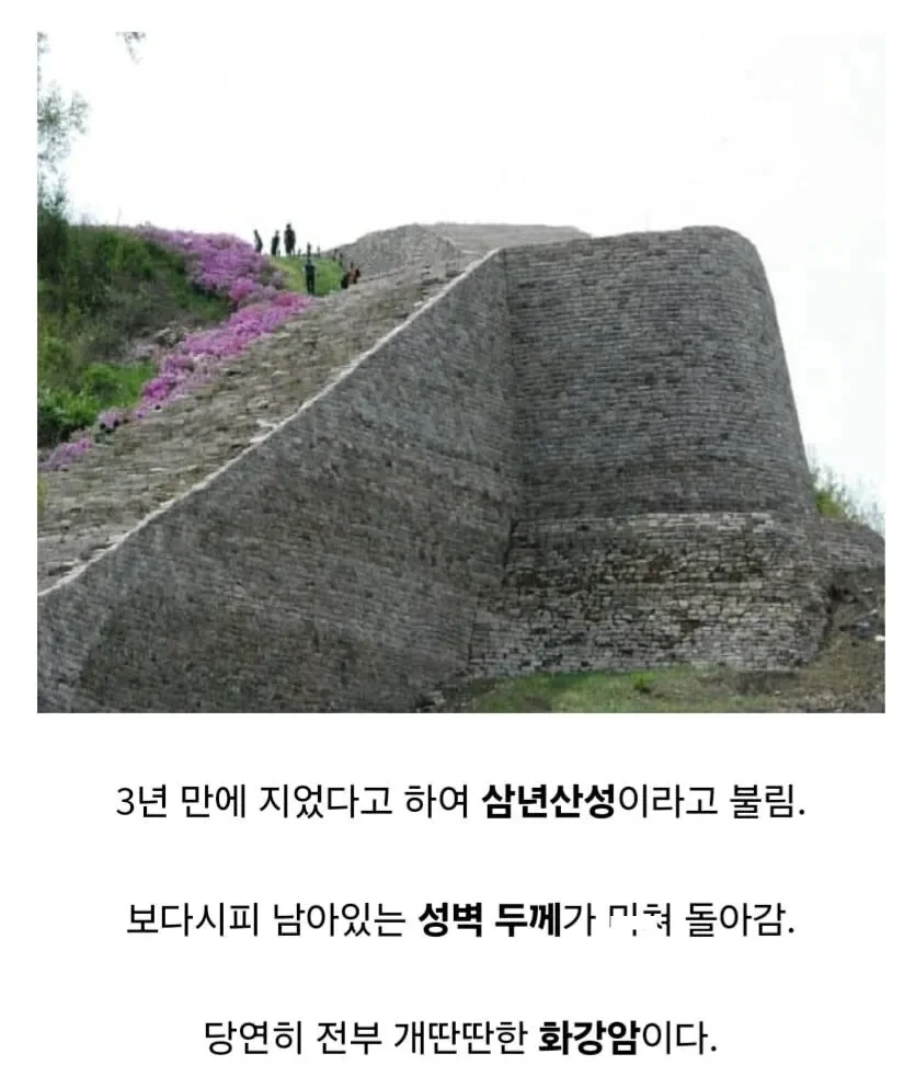 대한민국에 존재하는 149승 1패 요새 | 인스티즈