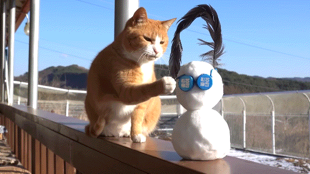 매탈남이 만든 요상하면서도 힙한 눈사람과 고양이들 반응.gif | 인스티즈