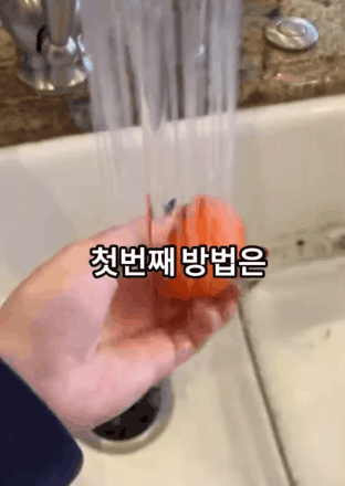 요즘 미국에서 유행하는 얼린 귤 먹는 법 | 인스티즈