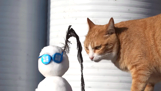 매탈남이 만든 요상하면서도 힙한 눈사람과 고양이들 반응.gif | 인스티즈