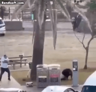 호주 총기 테러 용의자 제압하는 시민.gif | 인스티즈