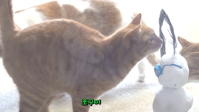 매탈남이 만든 요상하면서도 힙한 눈사람과 고양이들 반응.gif | 인스티즈