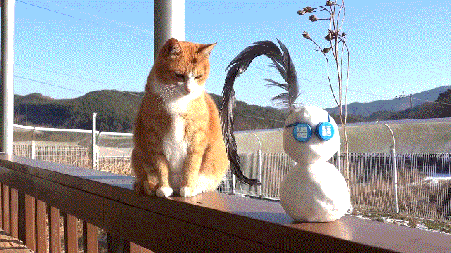 매탈남이 만든 요상하면서도 힙한 눈사람과 고양이들 반응.gif | 인스티즈