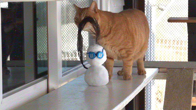 매탈남이 만든 요상하면서도 힙한 눈사람과 고양이들 반응.gif | 인스티즈