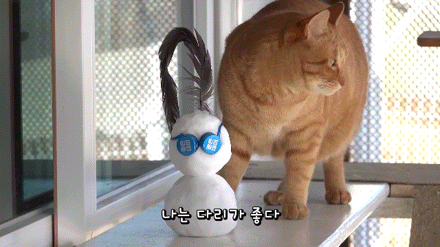매탈남이 만든 요상하면서도 힙한 눈사람과 고양이들 반응.gif | 인스티즈