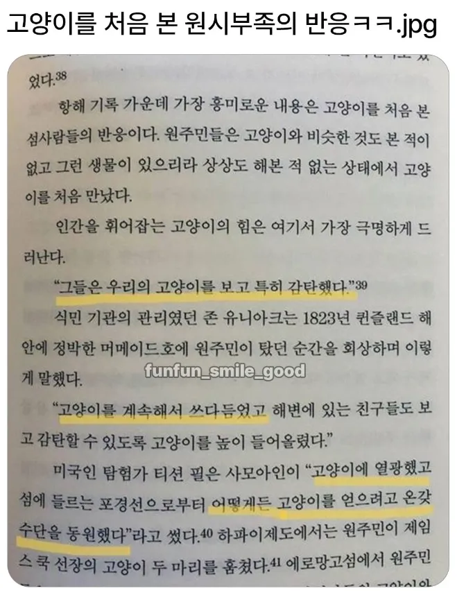 고양이를 처음 본 원시부족 | 인스티즈