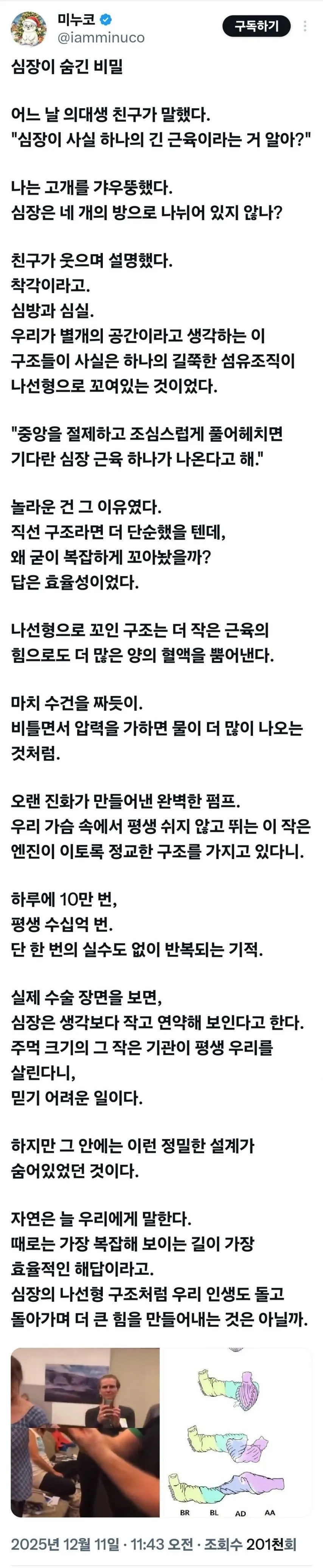 의대생 친구가 알려준 심장의 비밀 | 인스티즈