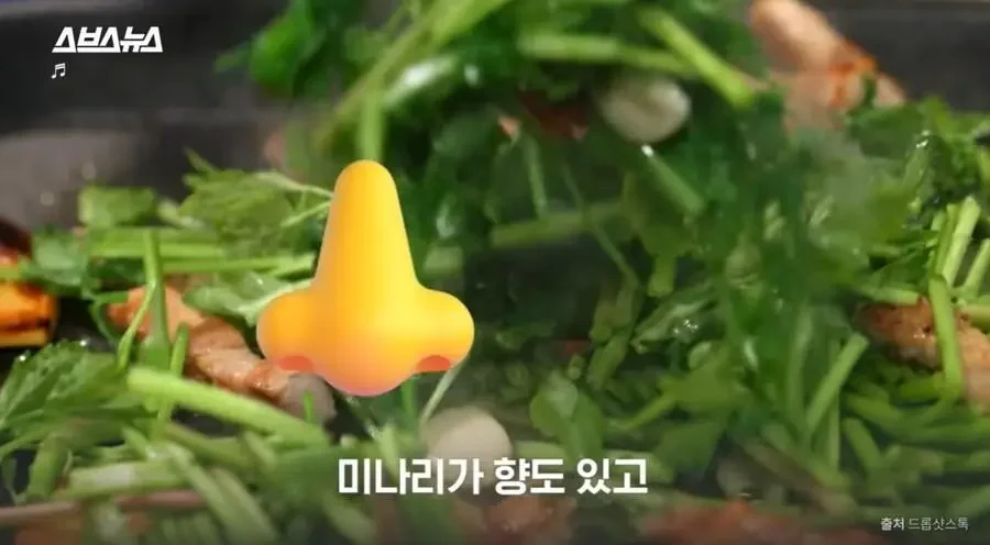 일본에서 한국 때문에 갑자기 뜬 식재료 | 인스티즈