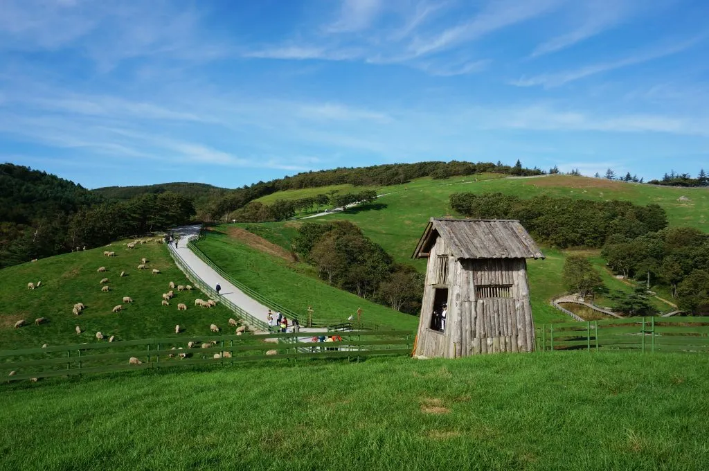 여기 진짜 외국같지 않아? | 인스티즈