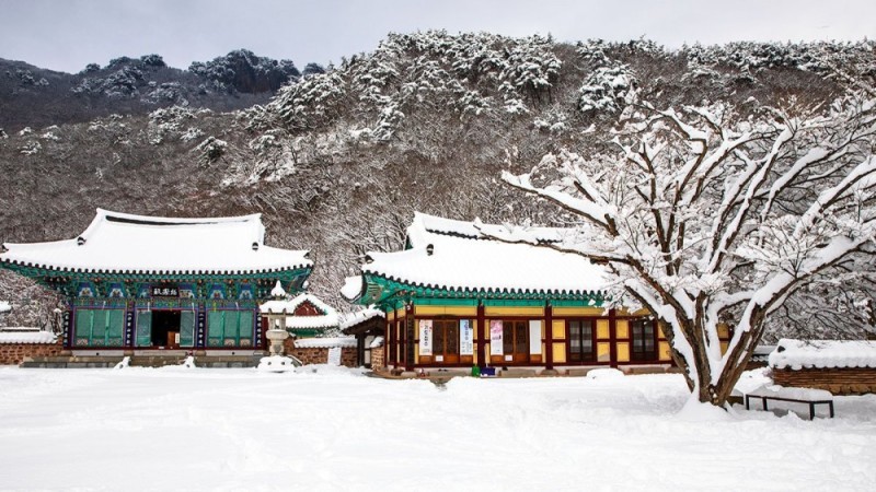 눈 내린 내장사 풍경 | 인스티즈