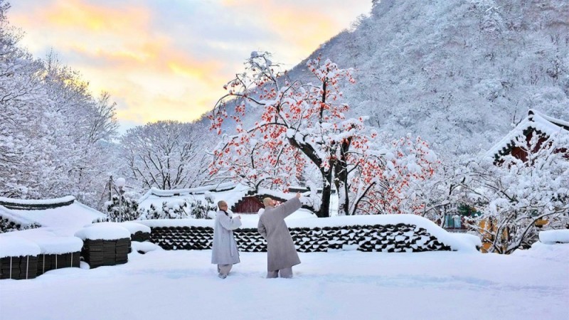 눈 내린 내장사 풍경 | 인스티즈