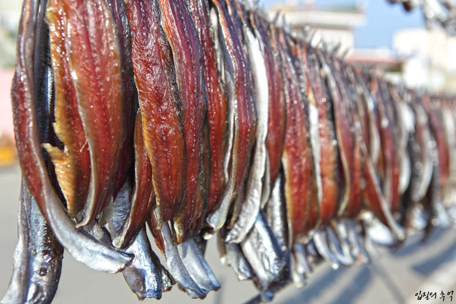 진짜 안먹는 사람은 쳐다도 안본다는 호불호 음식 | 인스티즈