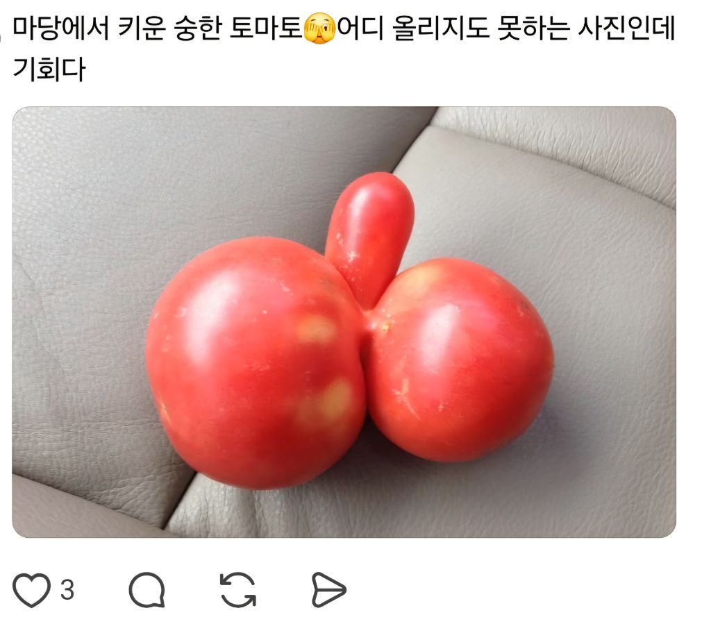 농사를 지었는데 험한 것이 나왔다 | 인스티즈