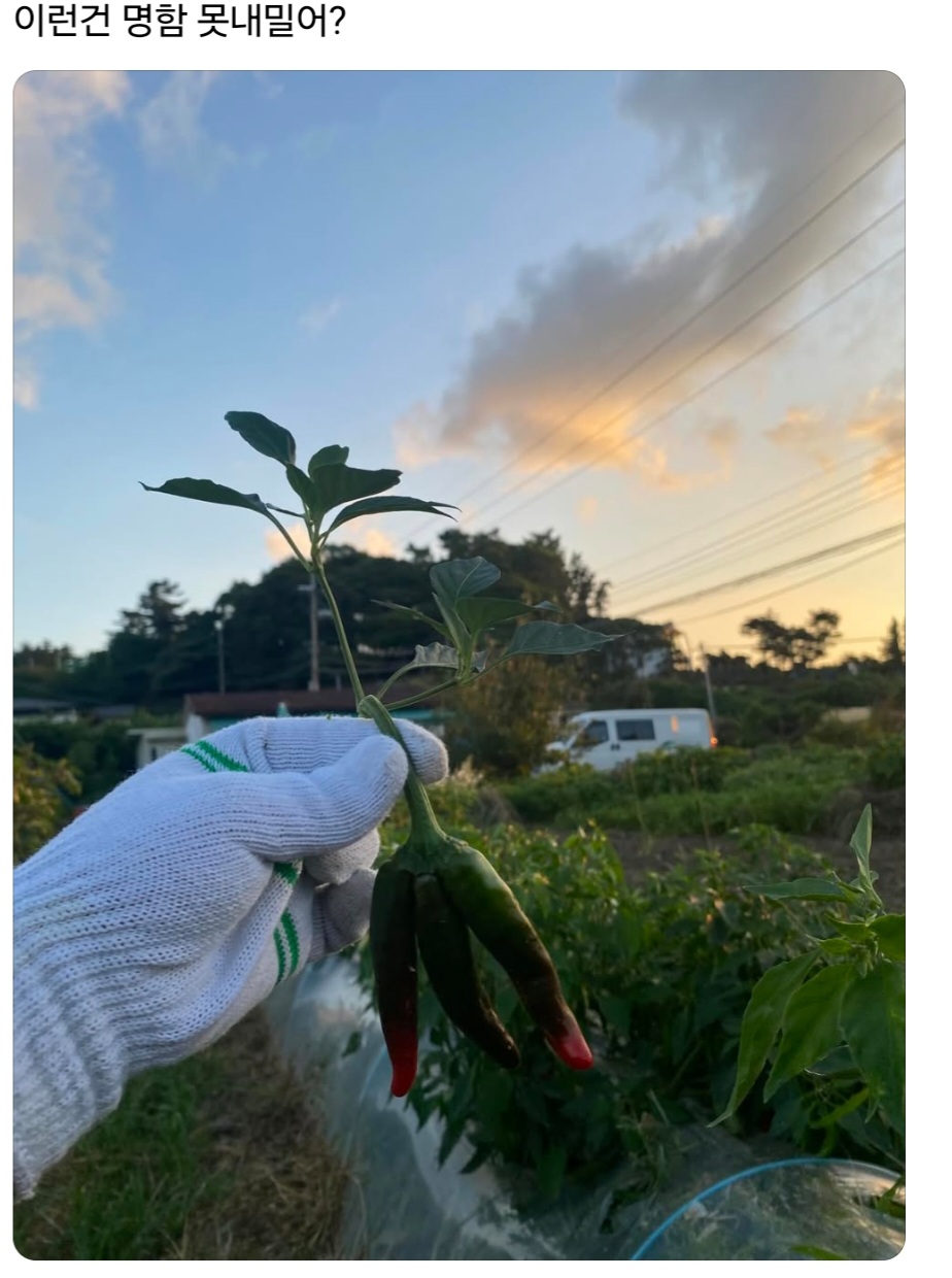 농사를 지었는데 험한 것이 나왔다 | 인스티즈