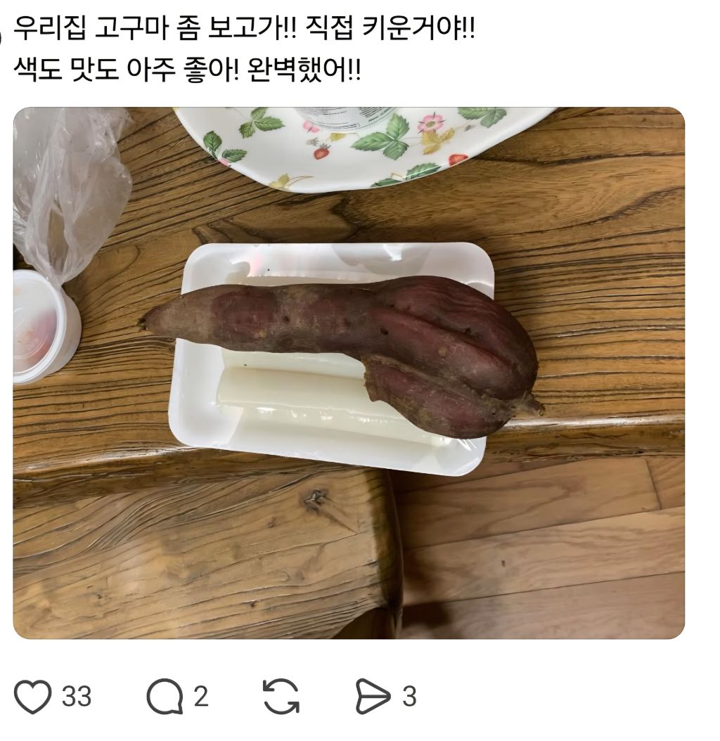 농사를 지었는데 험한 것이 나왔다 | 인스티즈