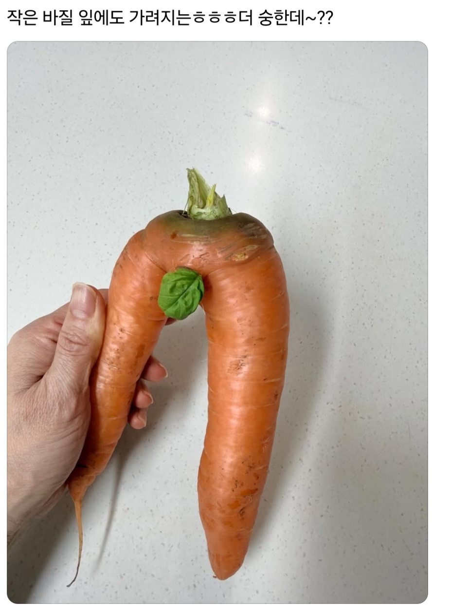 농사를 지었는데 험한 것이 나왔다 | 인스티즈