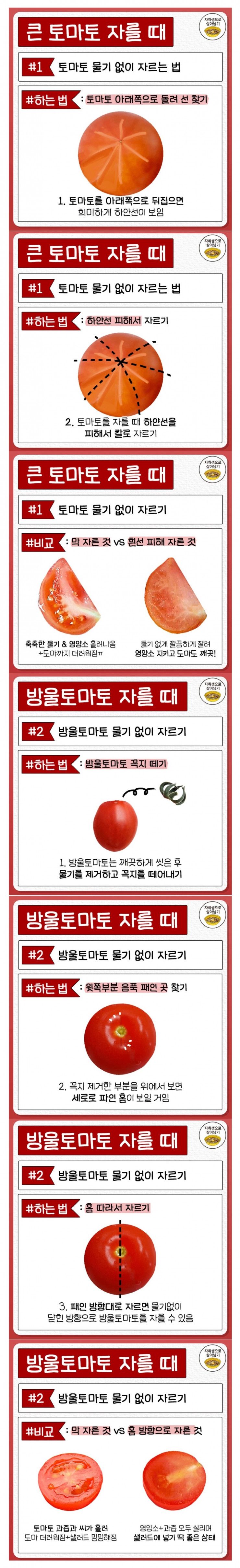 토마토 물기 없이 자르는 꿀팁 | 인스티즈