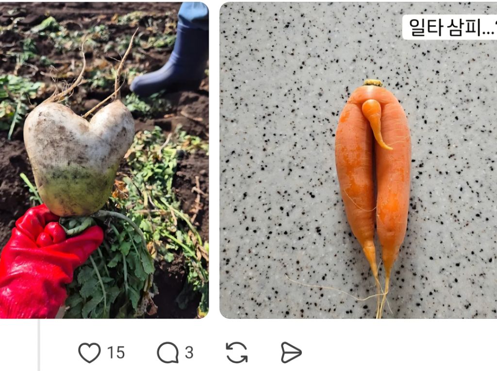 농사를 지었는데 험한 것이 나왔다 | 인스티즈