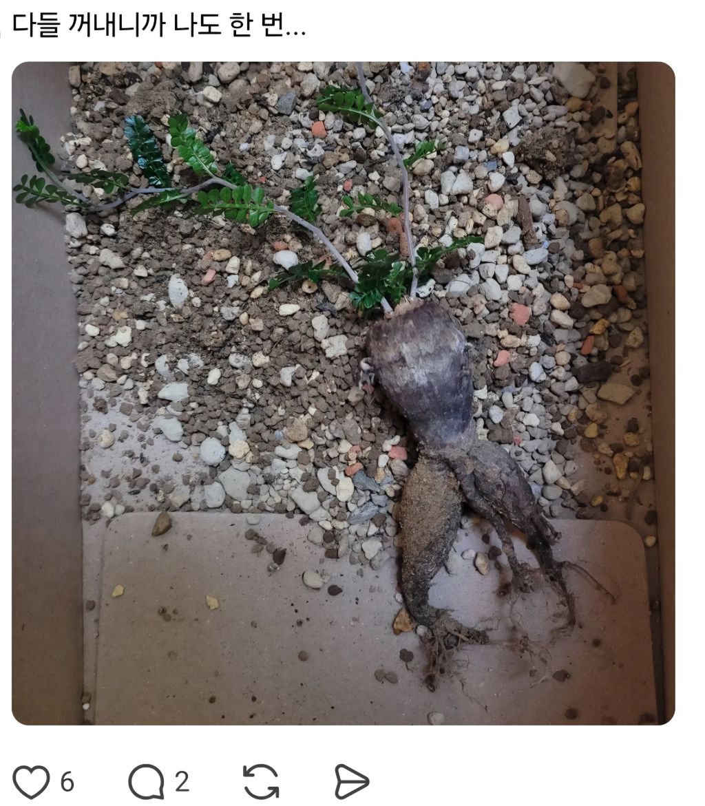 농사를 지었는데 험한 것이 나왔다 | 인스티즈