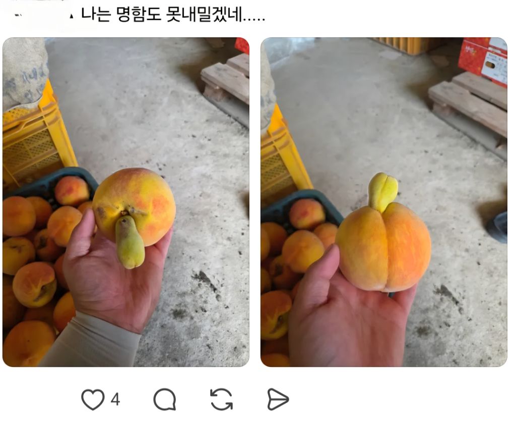 농사를 지었는데 험한 것이 나왔다 | 인스티즈