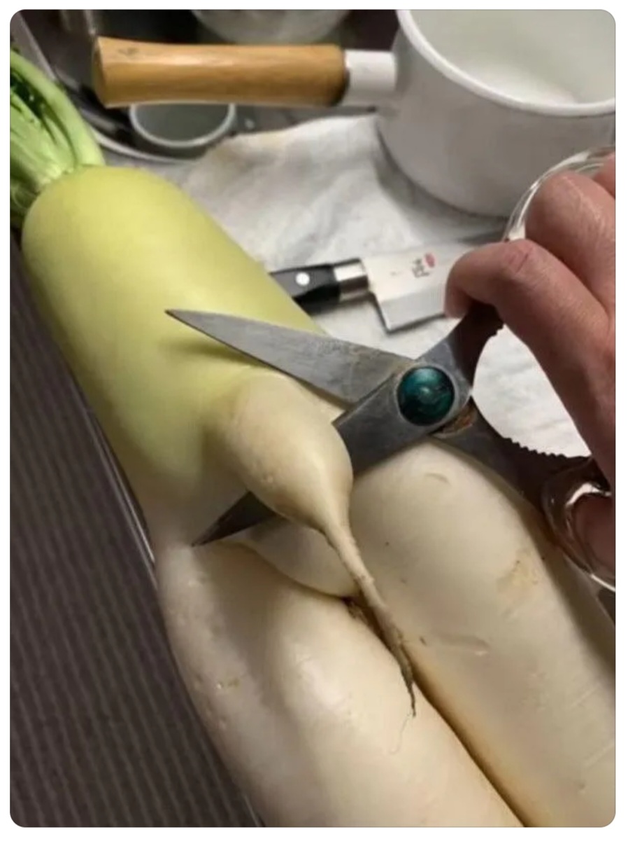 농사를 지었는데 험한 것이 나왔다 | 인스티즈