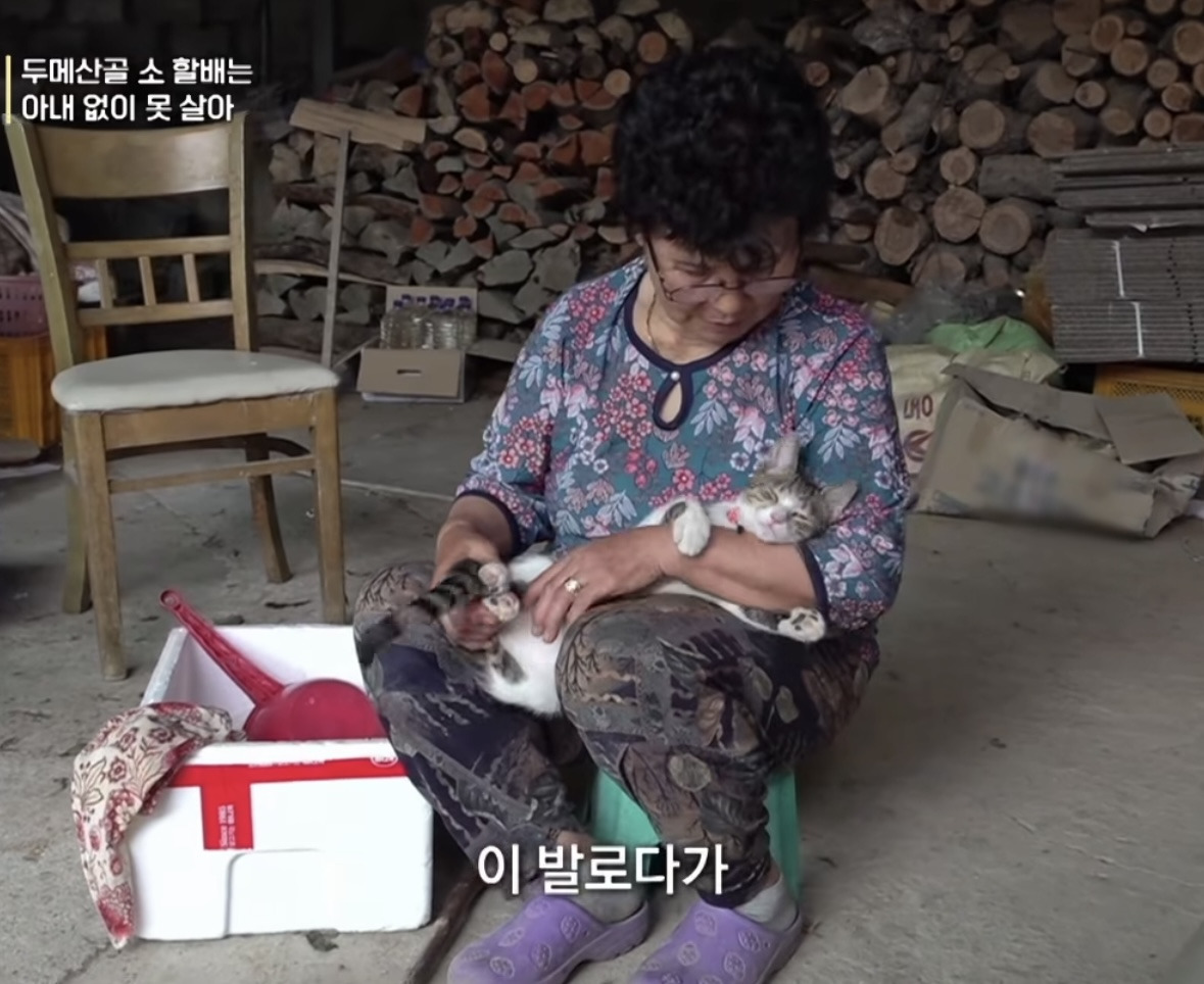 모종 밟고 다니는 고양이 가둬야겠다는 할머니 | 인스티즈