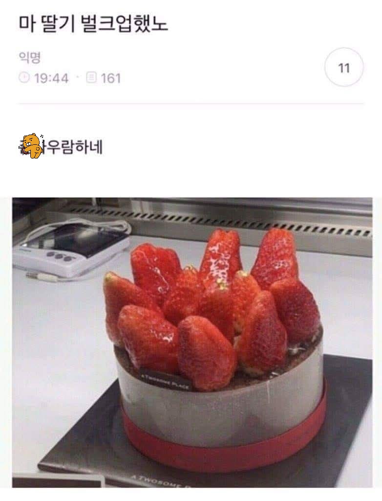 딸기 우람하다고 온동네 놀림당한 투썸 케잌 | 인스티즈