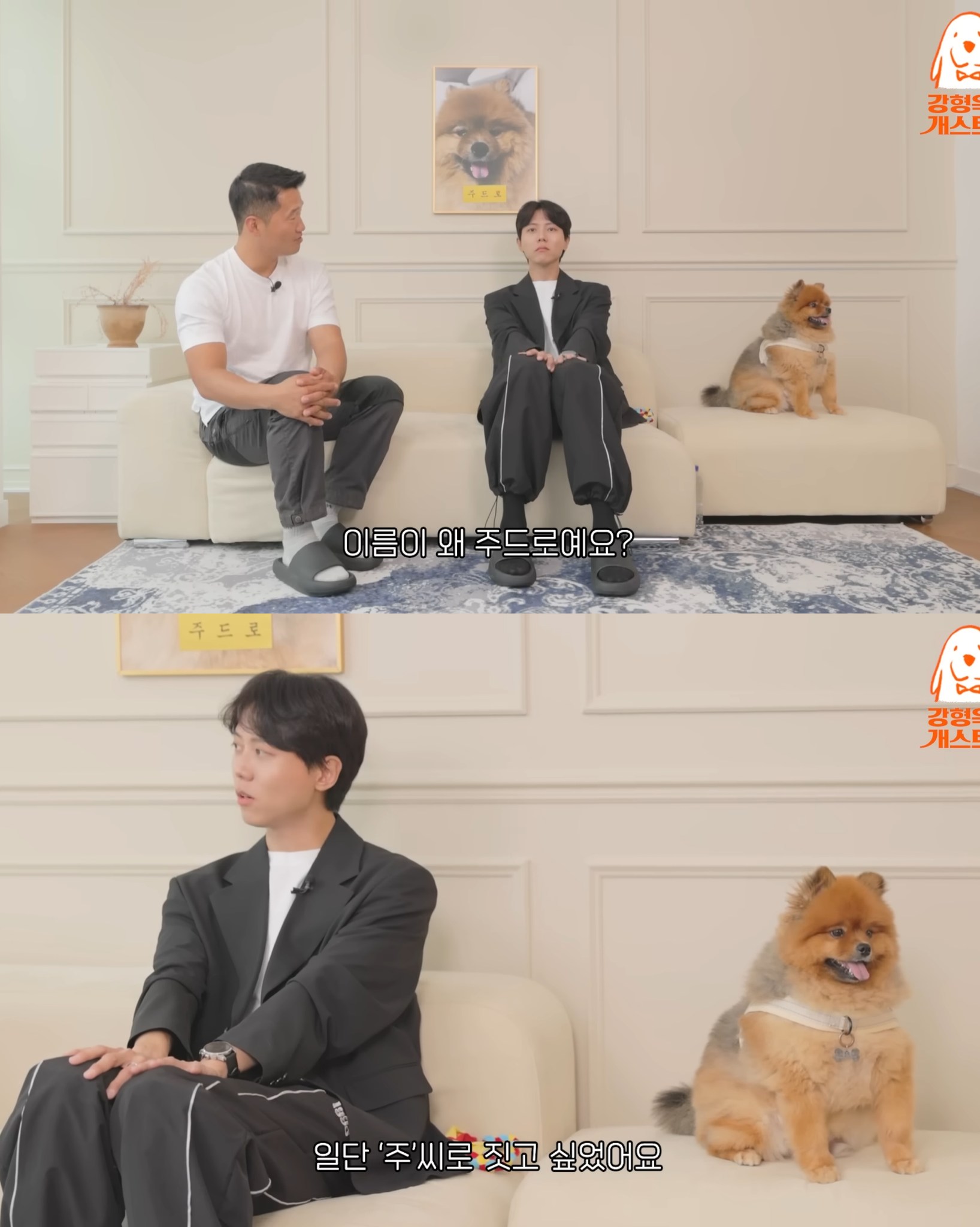 포메라고 해서 데려온 주우재네 댕댕이.jpg | 인스티즈