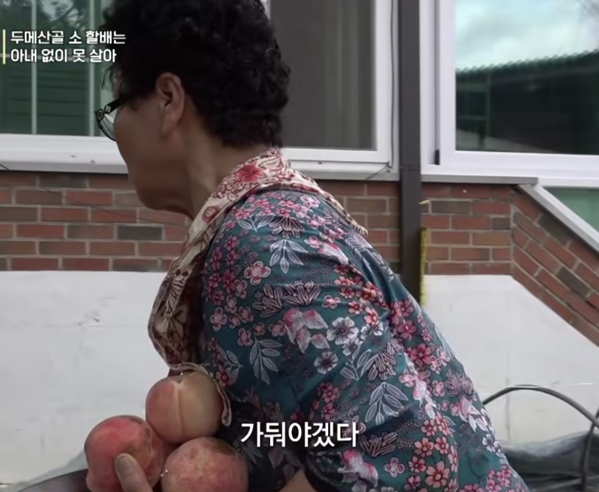 모종 밟고 다니는 고양이 가둬야겠다는 할머니 | 인스티즈