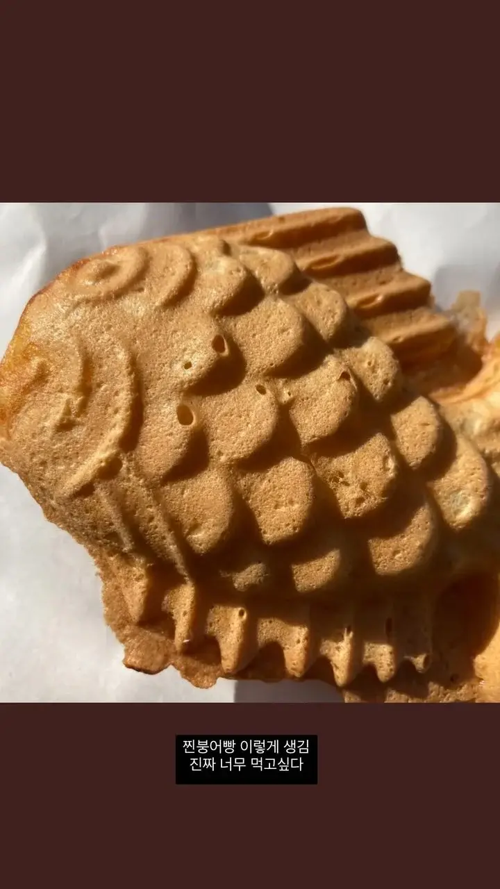 붕어빵과 잉어빵의 차이점 | 인스티즈