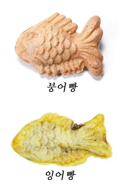 붕어빵과 잉어빵의 차이점 | 인스티즈