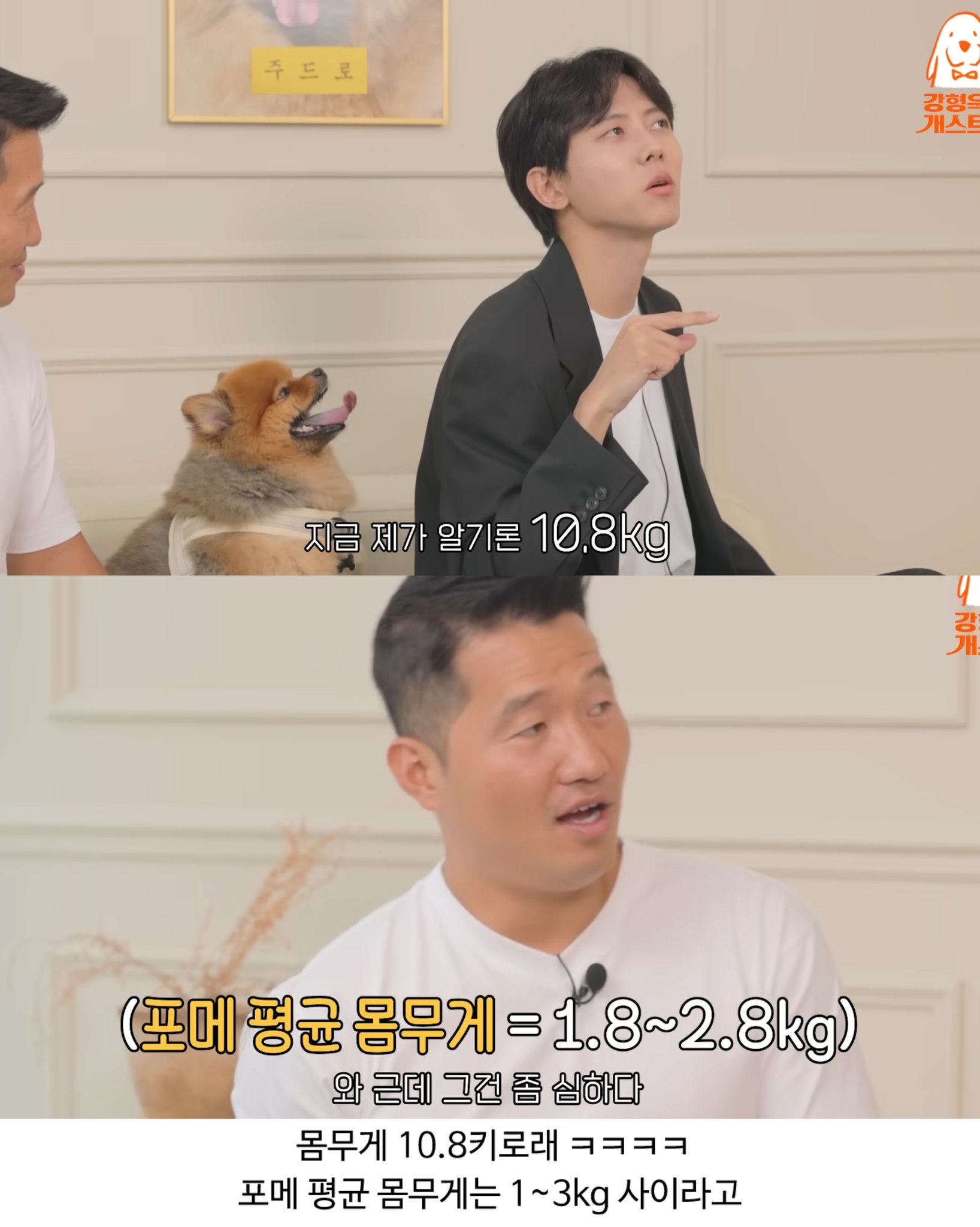 포메라고 해서 데려온 주우재네 댕댕이.jpg | 인스티즈