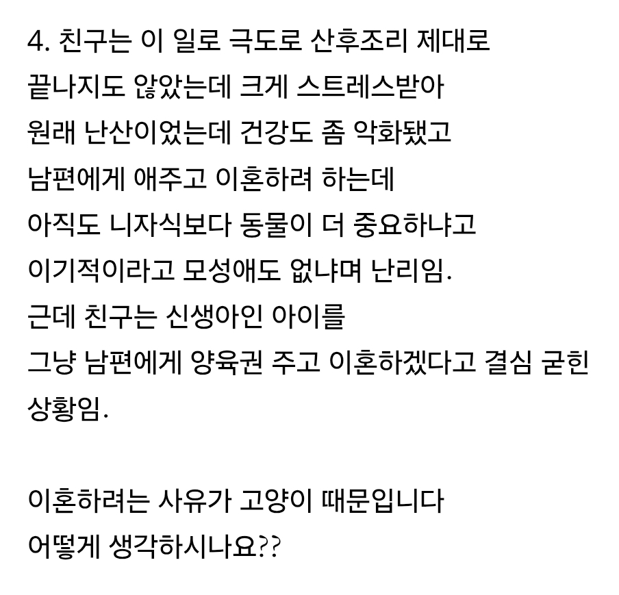 친구가 고양이 때문에 남편에게 애주고 이혼하려 함 | 인스티즈