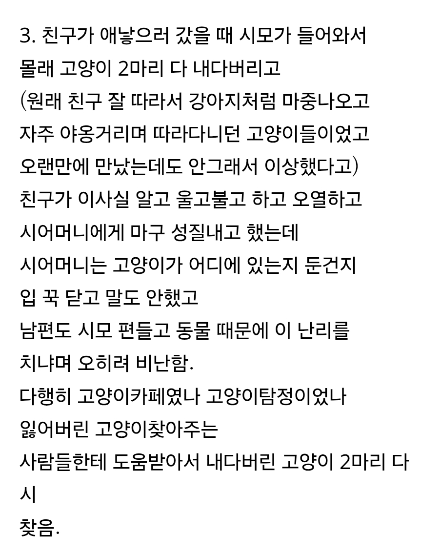 친구가 고양이 때문에 남편에게 애주고 이혼하려 함 | 인스티즈