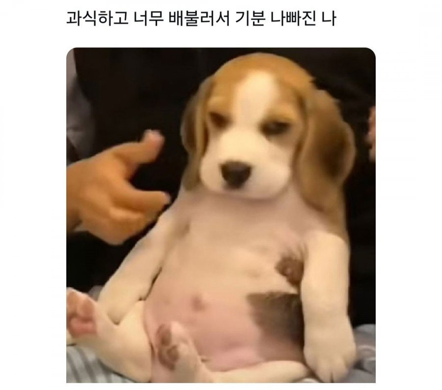 과식하고 배불러서 기분 나빠짐 | 인스티즈