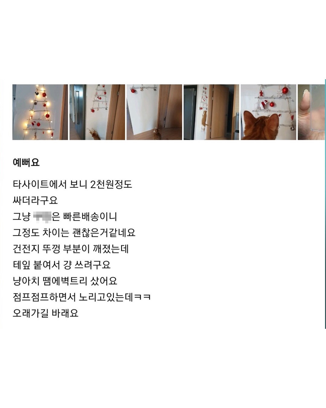 벽에 거는 트리 제품 리뷰 상태.jpg | 인스티즈