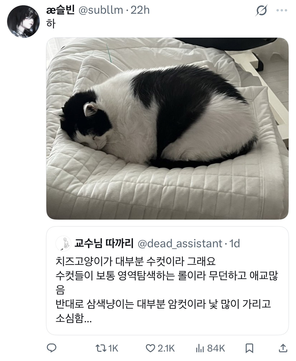 근데 젖소냥이들은 도대체 뭐가 문제임?.jpg | 인스티즈