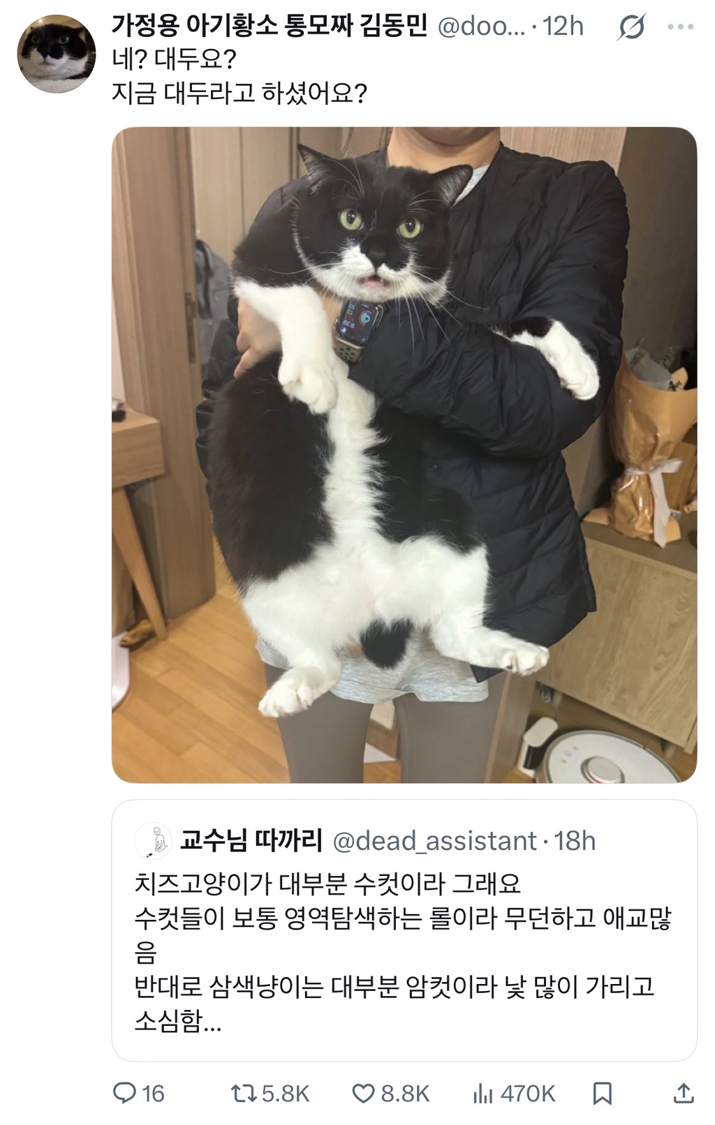 근데 젖소냥이들은 도대체 뭐가 문제임?.jpg | 인스티즈