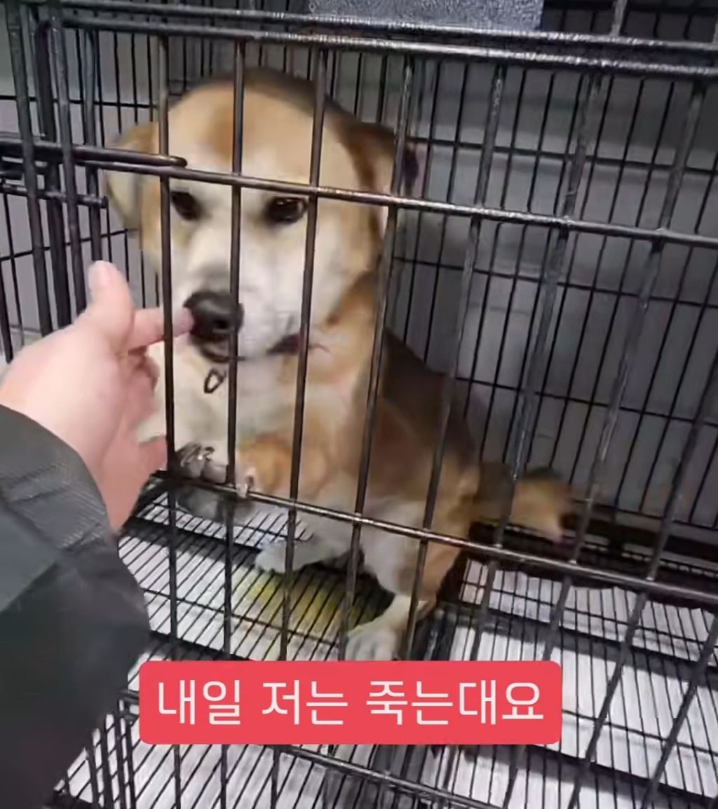 크리스마스의 기적이 일어나길 간절히 소망합니다 | 인스티즈