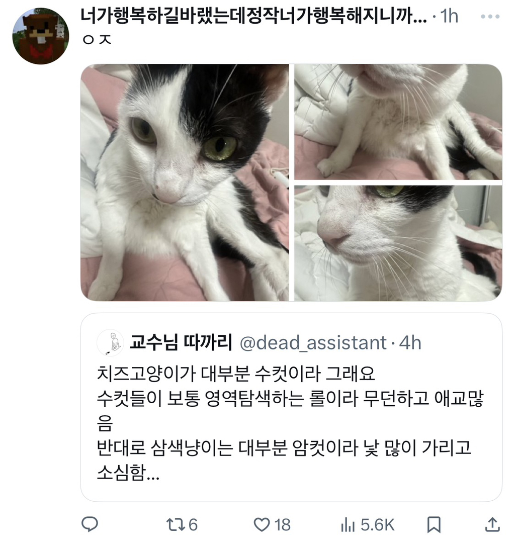 근데 젖소냥이들은 도대체 뭐가 문제임?.jpg | 인스티즈