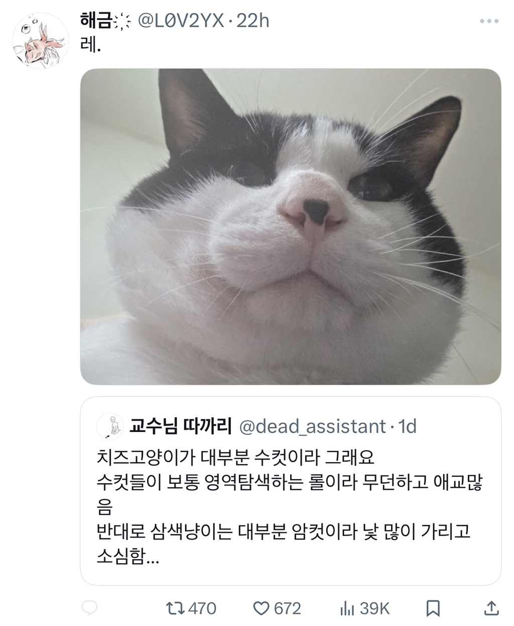 근데 젖소냥이들은 도대체 뭐가 문제임?.jpg | 인스티즈