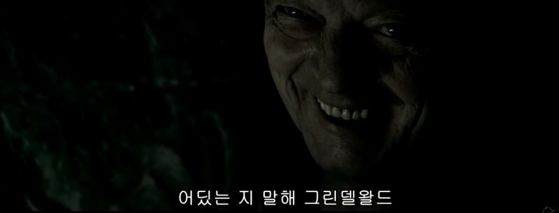 🧙‍♀️문화재 살인될까봐 남기는 썩시들의 해리포터 tmi (스압주의) | 인스티즈
