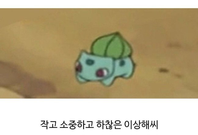 포켓몬 보다가 발견한 작붕ㅋㅋㅋㅋ.jpg | 인스티즈